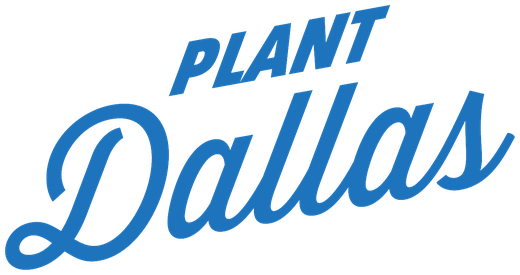 Plant Dallas